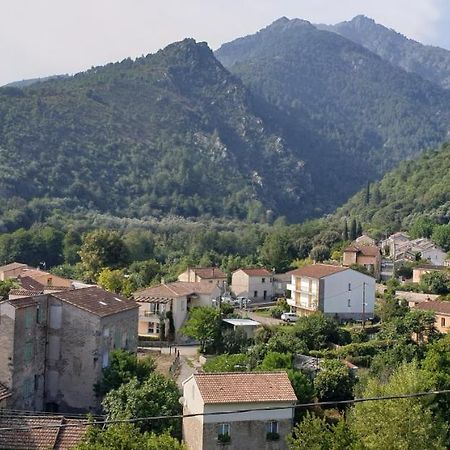 Appartement De Charme Vieille Ville Corte  Dış mekan fotoğraf