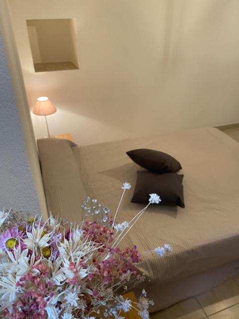 Appartement De Charme Vieille Ville Corte  Dış mekan fotoğraf
